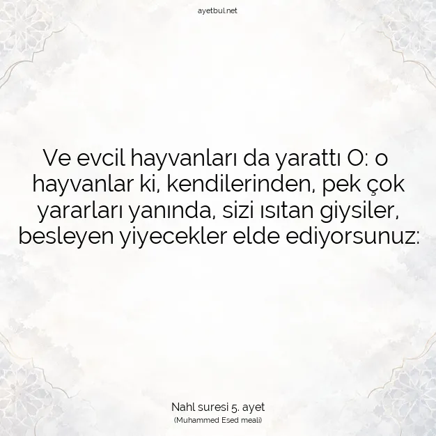 Ayetbul | Kuran Mealleri | Quran | Nahl suresi 5. ayet