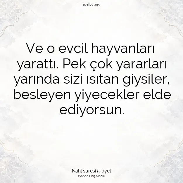 Ayetbul | Kuran Mealleri | Quran | Nahl suresi 5. ayet