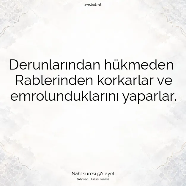 Ayetbul | Kuran Mealleri | Quran | Nahl suresi 50. ayet