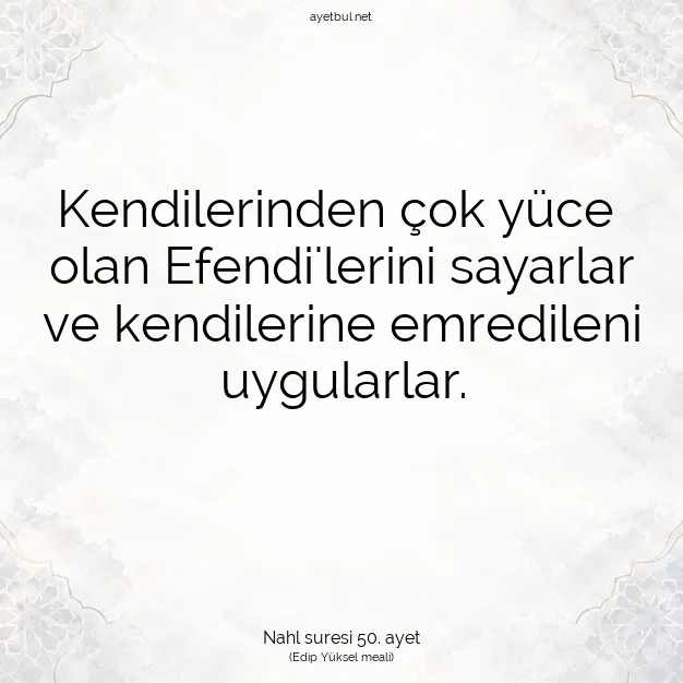 Ayetbul | Kuran Mealleri | Quran | Nahl suresi 50. ayet