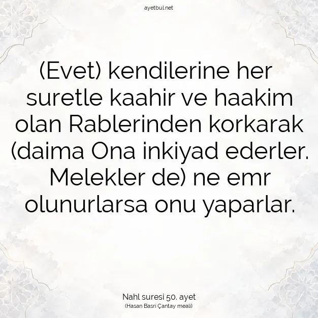 Ayetbul | Kuran Mealleri | Quran | Nahl suresi 50. ayet