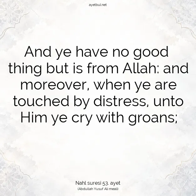 Ayetbul | Kuran Mealleri | Quran | Nahl suresi 53. ayet