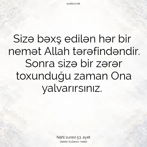Ayetbul | Kuran Mealleri | Quran | Nahl suresi 53. ayet
