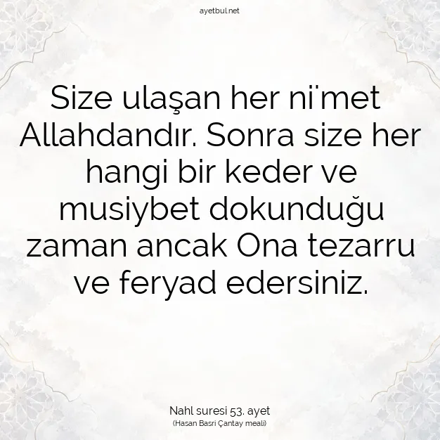 Ayetbul | Kuran Mealleri | Quran | Nahl suresi 53. ayet