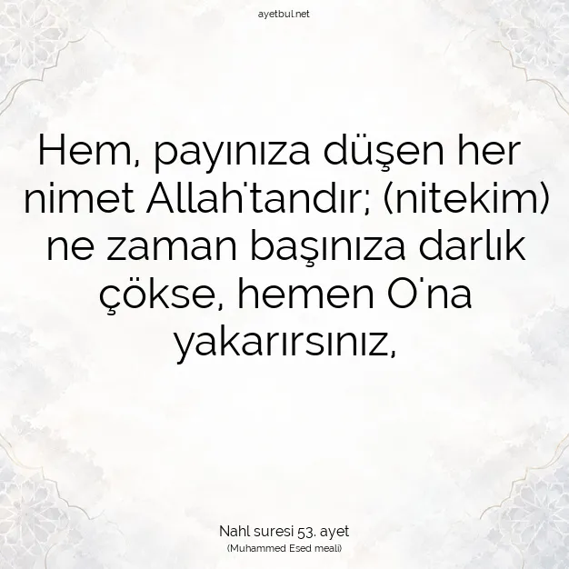 Ayetbul | Kuran Mealleri | Quran | Nahl suresi 53. ayet