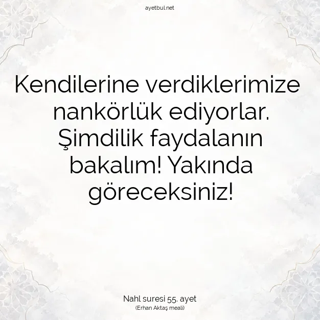 Ayetbul | Kuran Mealleri | Quran | Nahl suresi 55. ayet