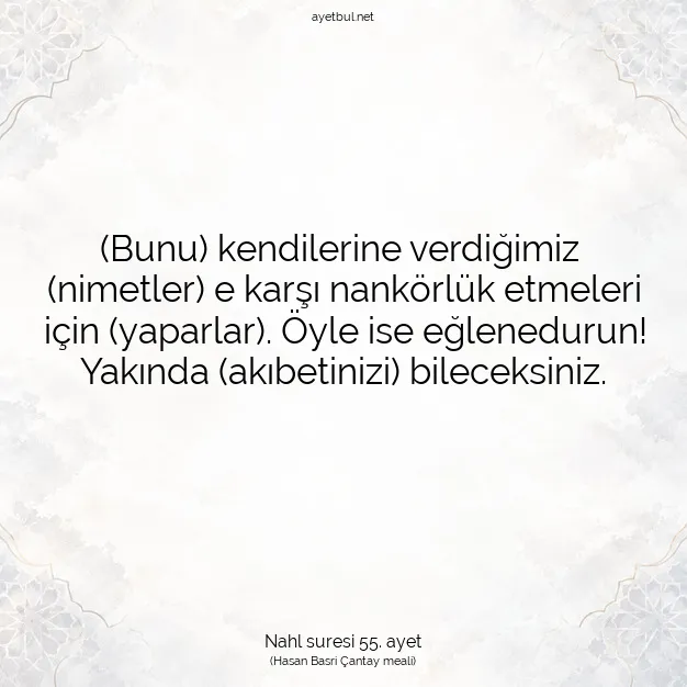 Ayetbul | Kuran Mealleri | Quran | Nahl suresi 55. ayet