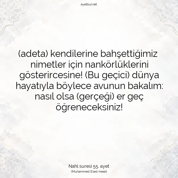 Ayetbul | Kuran Mealleri | Quran | Nahl suresi 55. ayet
