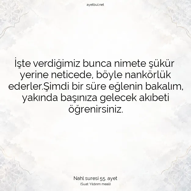 Ayetbul | Kuran Mealleri | Quran | Nahl suresi 55. ayet