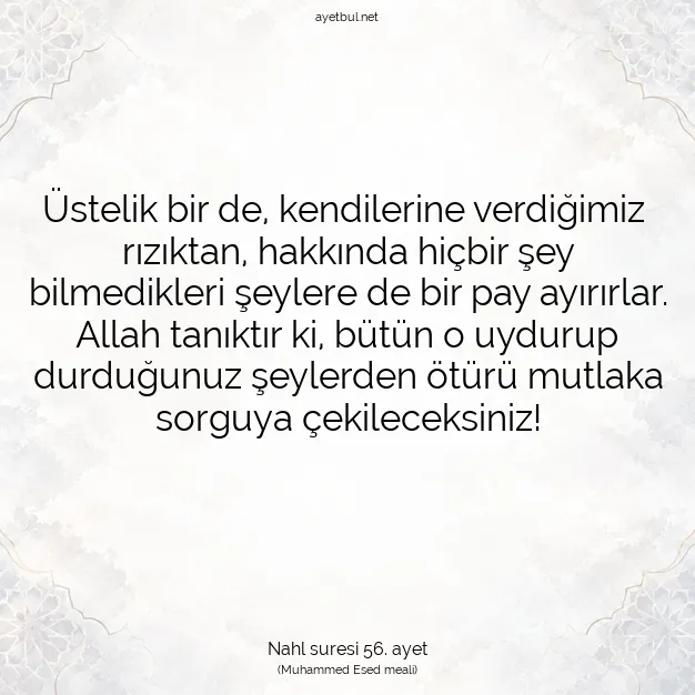 Ayetbul | Kuran Mealleri | Quran | Nahl suresi 56. ayet