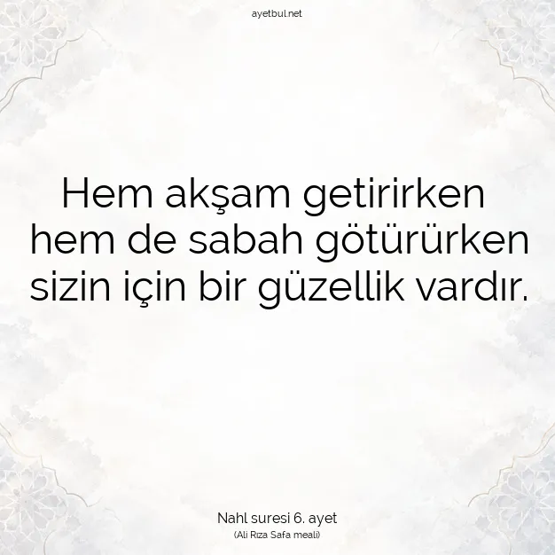 Ayetbul | Kuran Mealleri | Quran | Nahl suresi 6. ayet