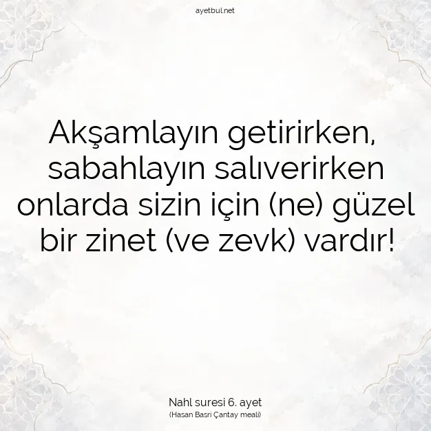 Ayetbul | Kuran Mealleri | Quran | Nahl suresi 6. ayet