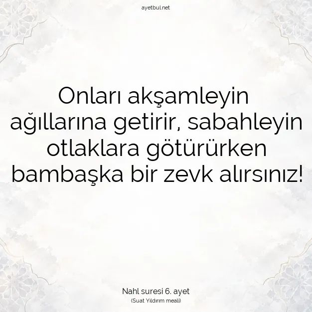 Ayetbul | Kuran Mealleri | Quran | Nahl suresi 6. ayet