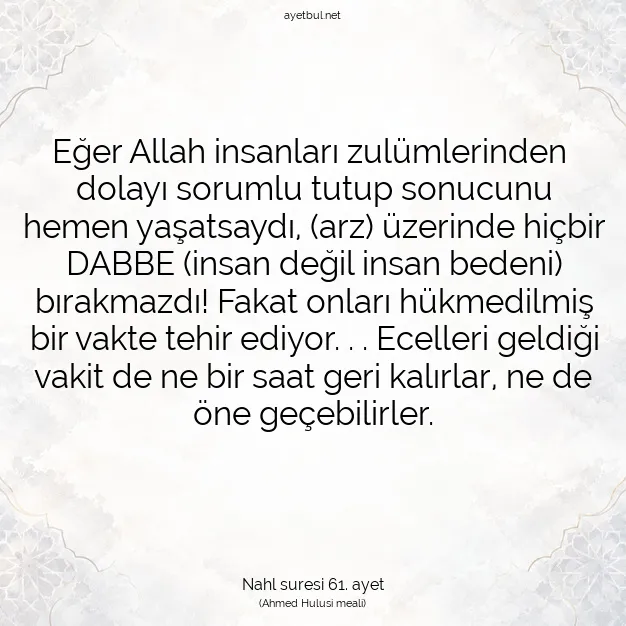 Ayetbul | Kuran Mealleri | Quran | Nahl suresi 61. ayet