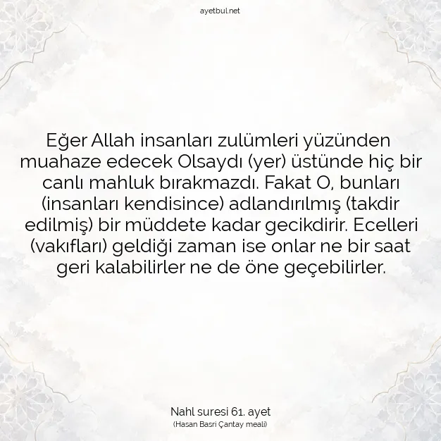 Ayetbul | Kuran Mealleri | Quran | Nahl suresi 61. ayet
