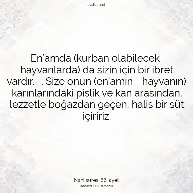 Ayetbul | Kuran Mealleri | Quran | Nahl suresi 66. ayet