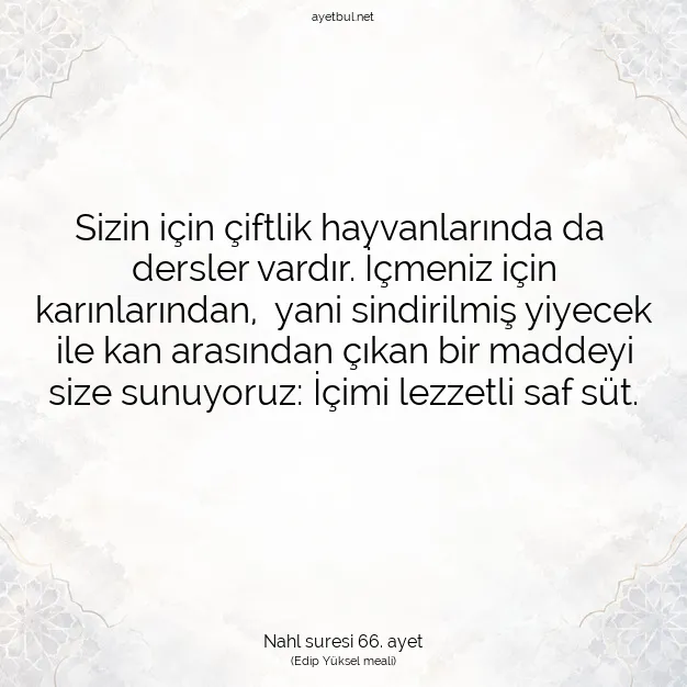 Ayetbul | Kuran Mealleri | Quran | Nahl suresi 66. ayet