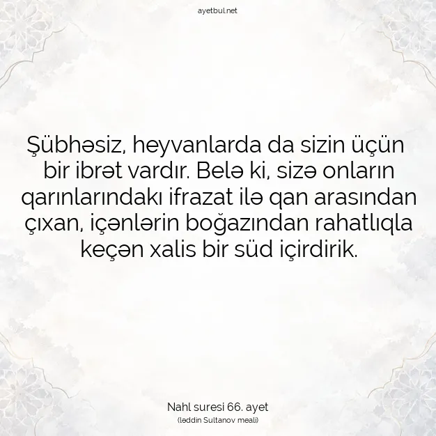Ayetbul | Kuran Mealleri | Quran | Nahl suresi 66. ayet