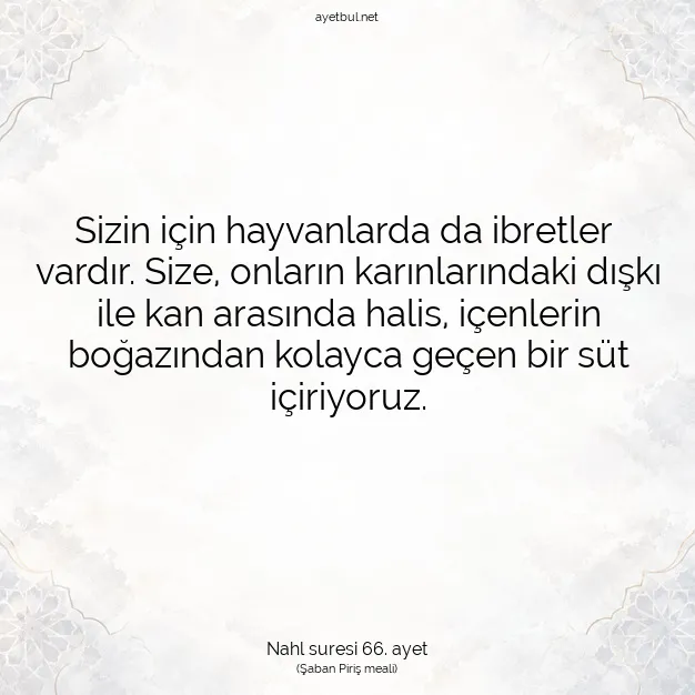 Ayetbul | Kuran Mealleri | Quran | Nahl suresi 66. ayet