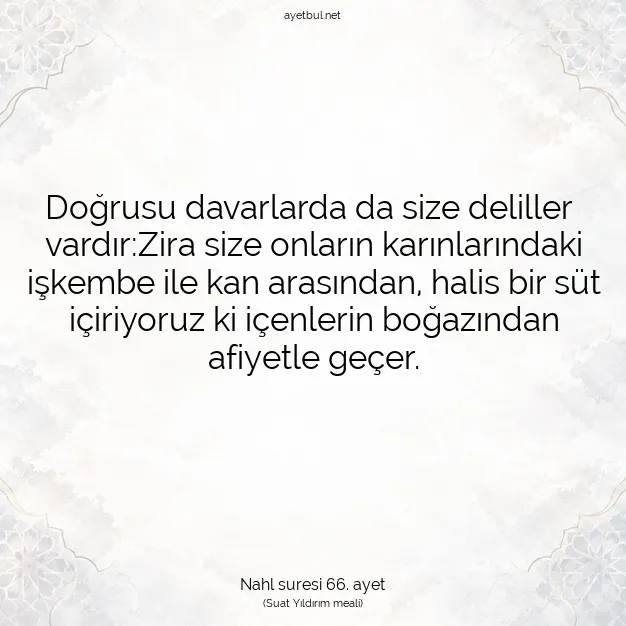 Ayetbul | Kuran Mealleri | Quran | Nahl suresi 66. ayet