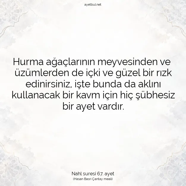 Ayetbul | Kuran Mealleri | Quran | Nahl suresi 67. ayet