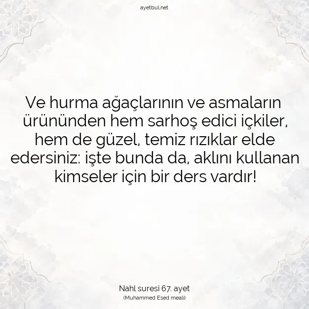 Ayetbul | Kuran Mealleri | Quran | Nahl suresi 67. ayet