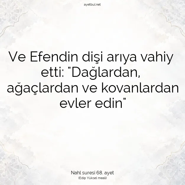 Ayetbul | Kuran Mealleri | Quran | Nahl suresi 68. ayet