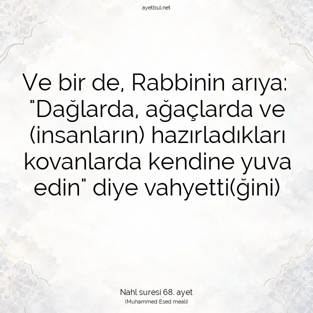 Ayetbul | Kuran Mealleri | Quran | Nahl suresi 68. ayet
