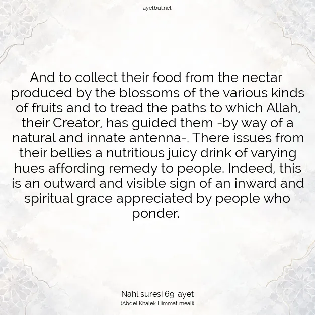 Ayetbul | Kuran Mealleri | Quran | Nahl suresi 69. ayet