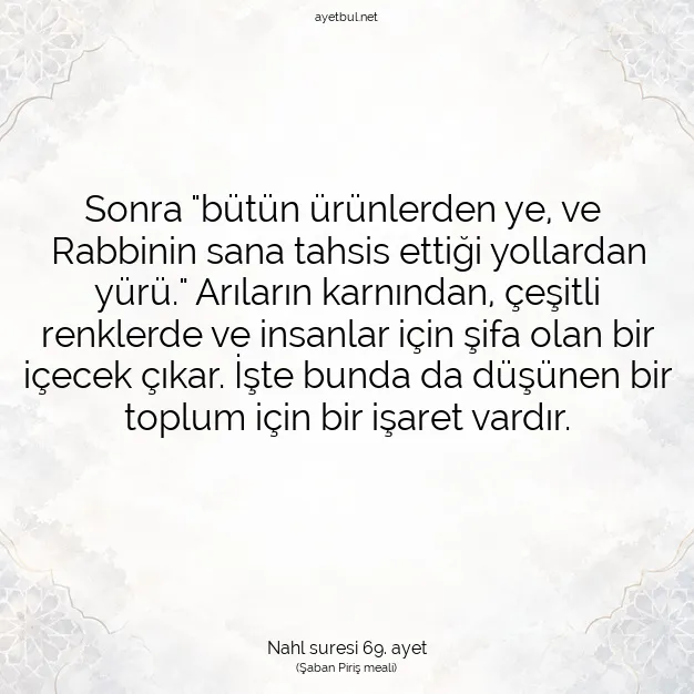 Ayetbul | Kuran Mealleri | Quran | Nahl suresi 69. ayet