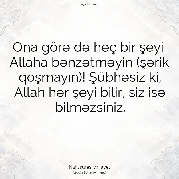 Ayetbul | Kuran Mealleri | Quran | Nahl suresi 74. ayet