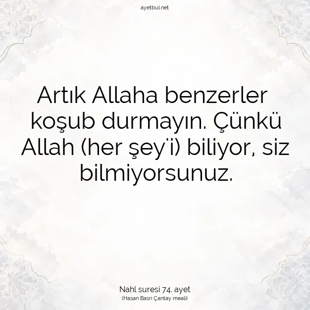 Ayetbul | Kuran Mealleri | Quran | Nahl suresi 74. ayet