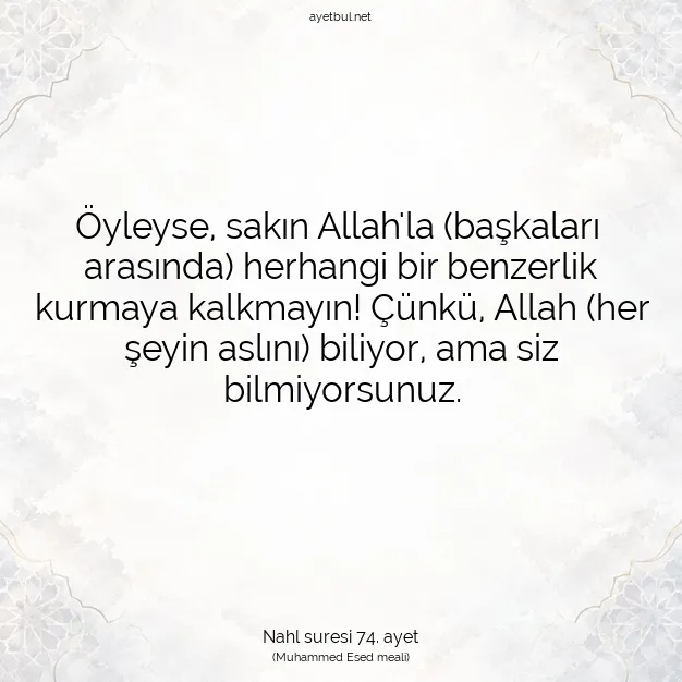 Ayetbul | Kuran Mealleri | Quran | Nahl suresi 74. ayet