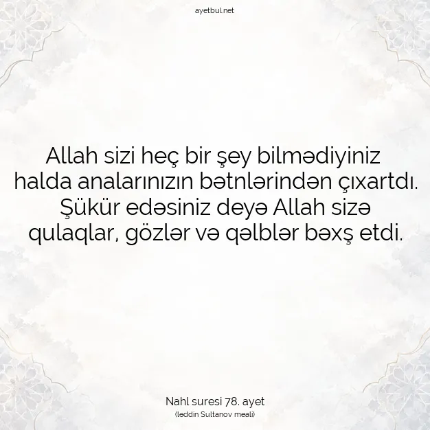 Ayetbul | Kuran Mealleri | Quran | Nahl suresi 78. ayet