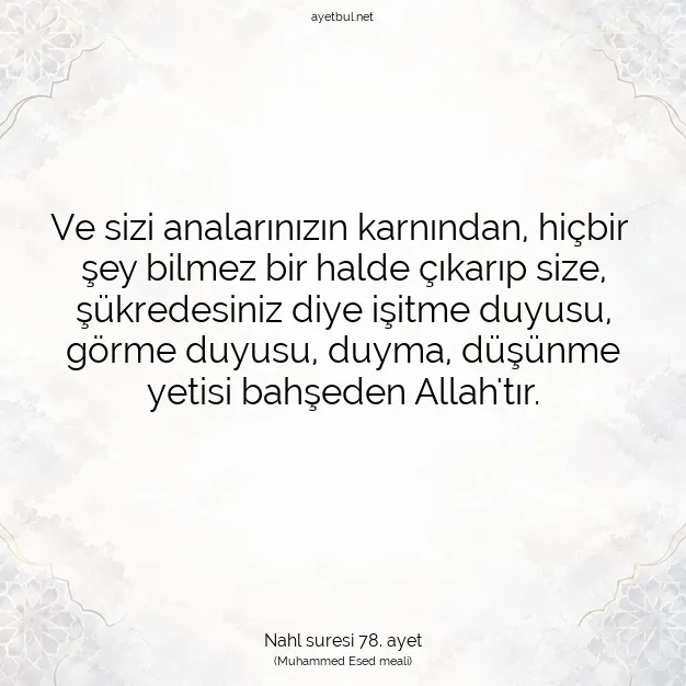 Ayetbul | Kuran Mealleri | Quran | Nahl suresi 78. ayet