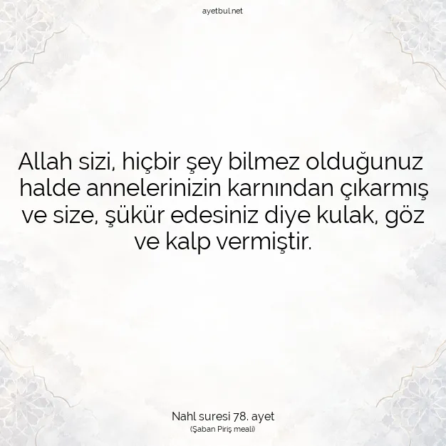 Ayetbul | Kuran Mealleri | Quran | Nahl suresi 78. ayet