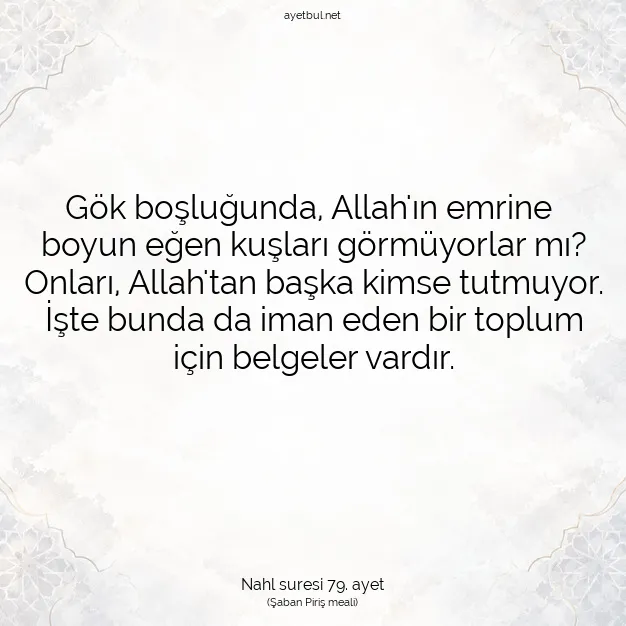 Ayetbul | Kuran Mealleri | Quran | Nahl suresi 79. ayet