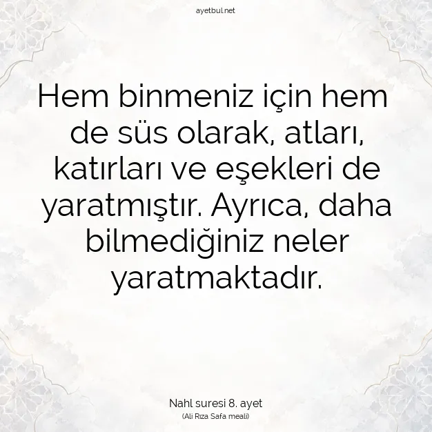 Ayetbul | Kuran Mealleri | Quran | Nahl suresi 8. ayet