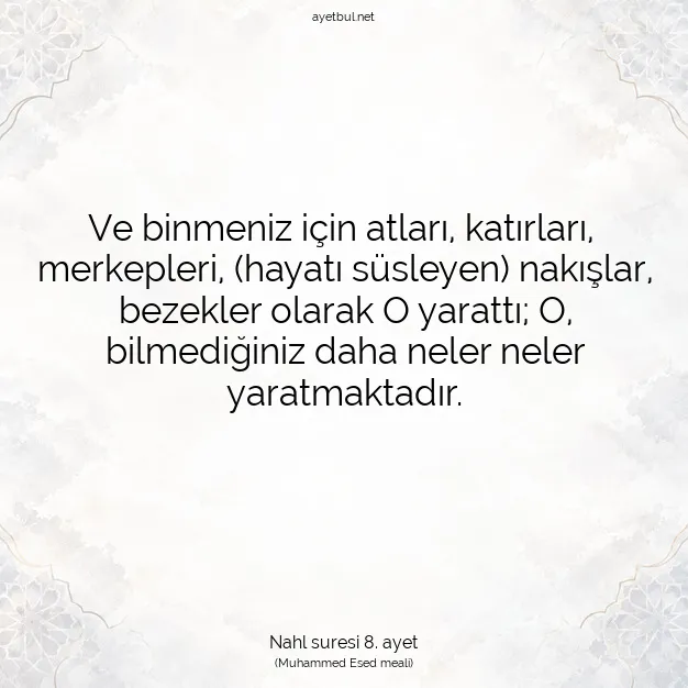 Ayetbul | Kuran Mealleri | Quran | Nahl suresi 8. ayet