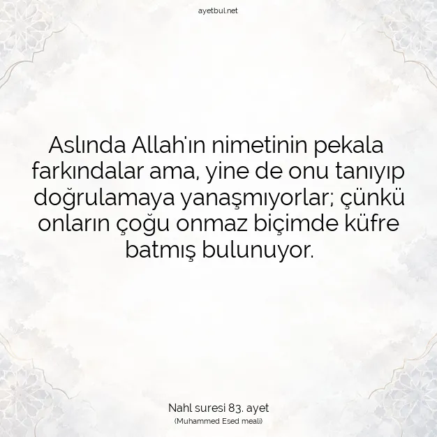 Ayetbul | Kuran Mealleri | Quran | Nahl suresi 83. ayet