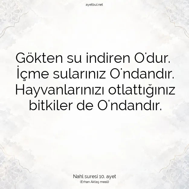 Ayetbul | Kuran Mealleri | Quran | Nahl suresi 10. ayet