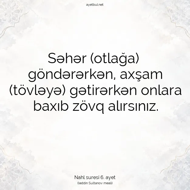 Ayetbul | Kuran Mealleri | Quran | Nahl suresi 6. ayet