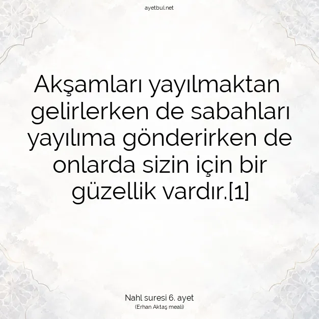 Ayetbul | Kuran Mealleri | Quran | Nahl suresi 6. ayet