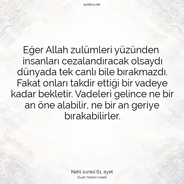 Ayetbul | Kuran Mealleri | Quran | Nahl suresi 61. ayet