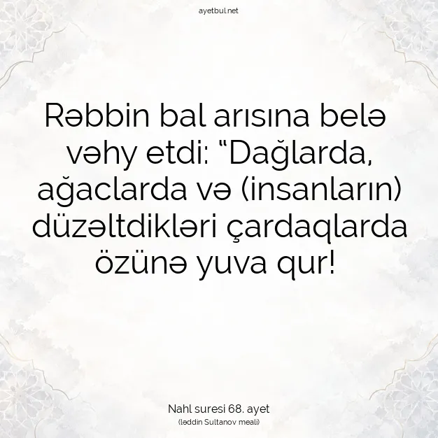 Ayetbul | Kuran Mealleri | Quran | Nahl suresi 68. ayet