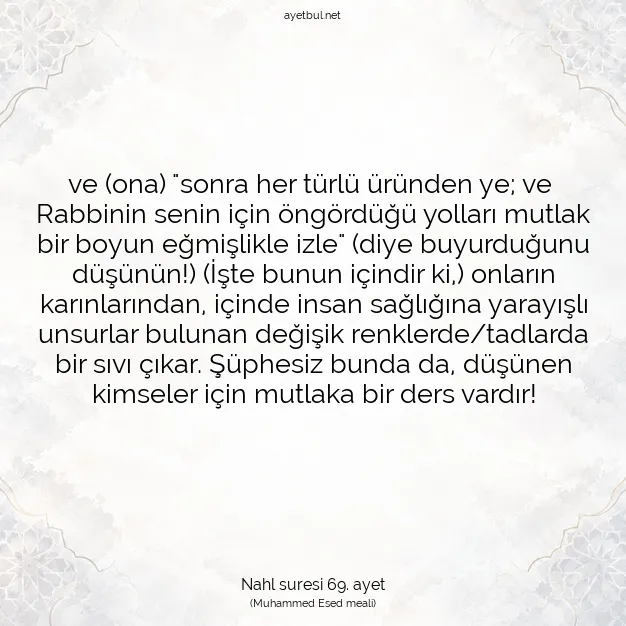 Ayetbul | Kuran Mealleri | Quran | Nahl suresi 69. ayet