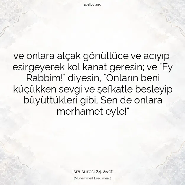 Ayetbul | Kuran Mealleri | Quran | İsra suresi 24. ayet