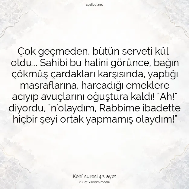 Ayetbul | Kuran Mealleri | Quran | Kehf suresi 42. ayet