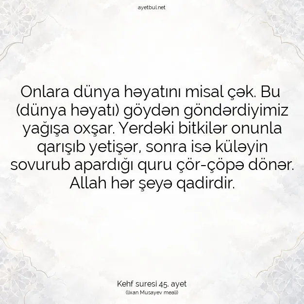 Ayetbul | Kuran Mealleri | Quran | Kehf suresi 45. ayet