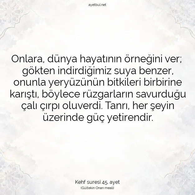 Ayetbul | Kuran Mealleri | Quran | Kehf suresi 45. ayet